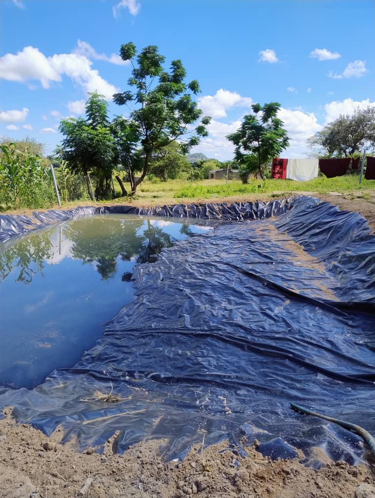 Fish Pond Construction
